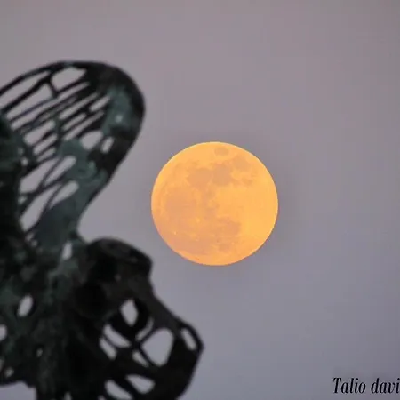 Apartment Orama Front Sea Giardini-Naxos